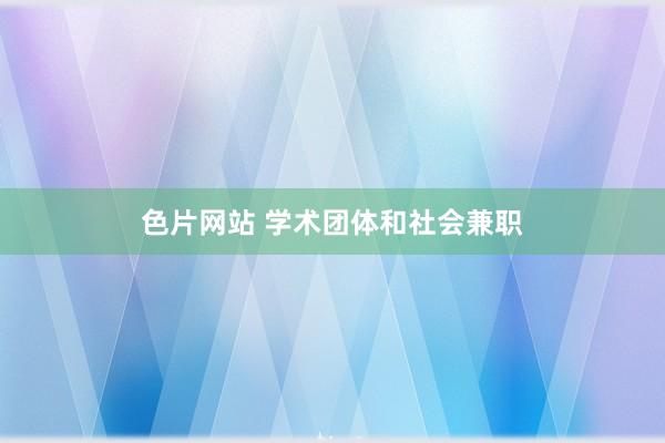 色片网站 学术团体和社会兼职