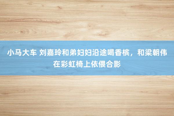 小马大车 刘嘉玲和弟妇妇沿途喝香槟，和梁朝伟在彩虹椅上依偎合影