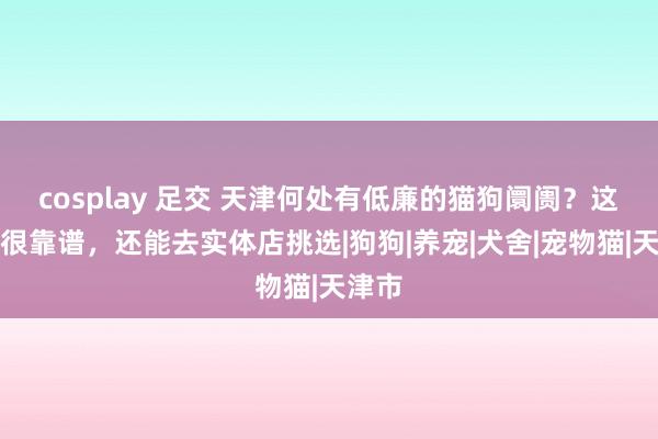 cosplay 足交 天津何处有低廉的猫狗阛阓？这的确很靠谱，还能去实体店挑选|狗狗|养宠|犬舍|宠物猫|天津市