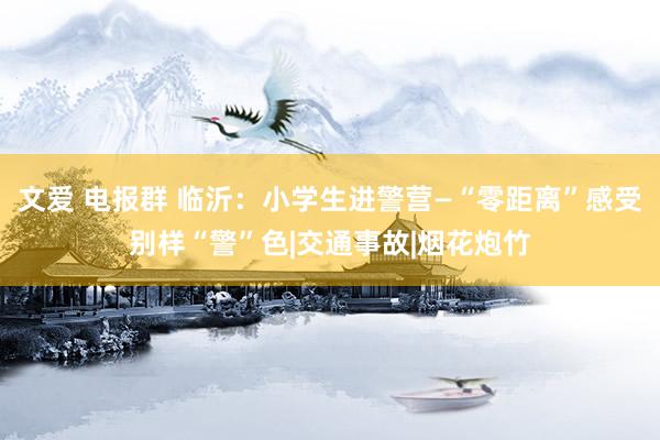 文爱 电报群 临沂：小学生进警营—“零距离”感受别样“警”色|交通事故|烟花炮竹