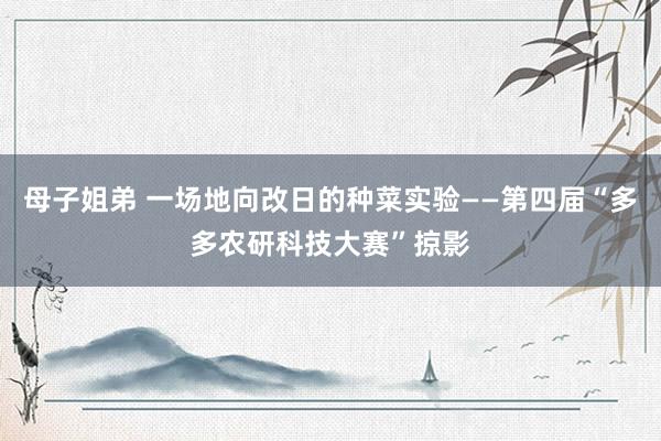 母子姐弟 一场地向改日的种菜实验——第四届“多多农研科技大赛”掠影