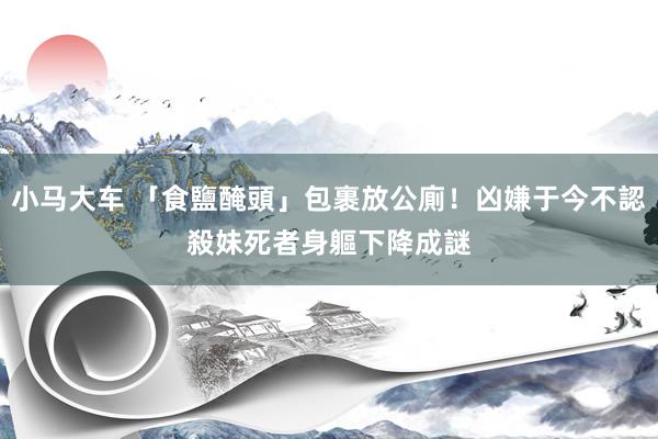 小马大车 「食鹽醃頭」包裹放公廁！凶嫌于今不認殺妹　死者身軀下降成謎