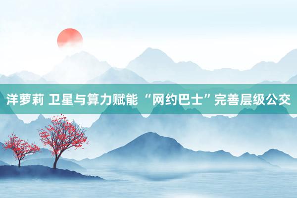 洋萝莉 卫星与算力赋能 “网约巴士”完善层级公交