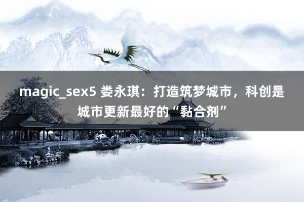 magic_sex5 娄永琪：打造筑梦城市，科创是城市更新最好的“黏合剂”