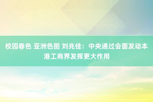 校园春色 亚洲色图 刘兆佳：中央通过会面发动本港工商界发挥更大作用