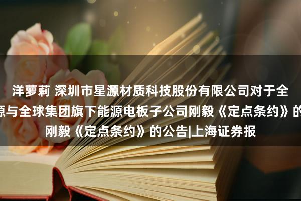 洋萝莉 深圳市星源材质科技股份有限公司对于全资子公司欧洲星源与全球集团旗下能源电板子公司刚毅《定点条约》的公告|上海证券报