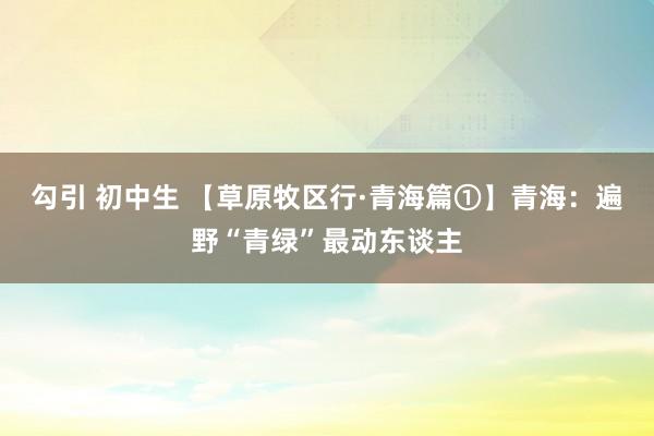 勾引 初中生 【草原牧区行·青海篇①】青海：遍野“青绿”最动东谈主