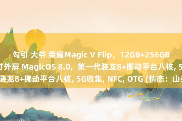 勾引 大爷 荣耀Magic V Flip，12GB+256GB，6.8英寸内屏4.0英寸外屏 MagicOS 8.0，  第一代骁龙8+挪动平台八核， 5G收集， NFC， OTG (情态：山茶白)