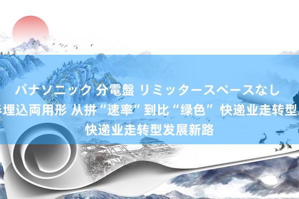 パナソニック 分電盤 リミッタースペースなし 露出・半埋込両用形 从拼“速率”到比“绿色” 快递业走转型发展新路