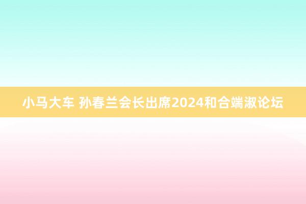 小马大车 孙春兰会长出席2024和合端淑论坛