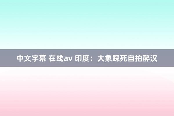 中文字幕 在线av 印度：大象踩死自拍醉汉